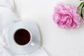 A lonely blooming pink peony on a rough white textural background.