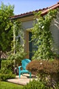 A lonely blue chair outside a house surrounded by plants