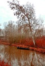 Lonely boat on a lake on a autumn day, poetry landscape Royalty Free Stock Photo