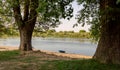 A lonely boat on the bank of a river in the midst of green trees