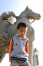 Lonely boy in the field Royalty Free Stock Photo