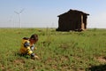 Lonely boy in the field Royalty Free Stock Photo