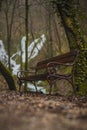 Lonely brown bench with metal railing and wooden planks in a forest, autumn setting, visible romantic waterfall in the background