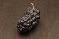 Lonely bunch of dark ripe grapes on wooden black surface