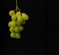 A lonely bunch of grapes on black background
