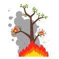 Lonely burning tree on a white background. destruction of the forest by fire. Royalty Free Stock Photo