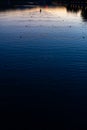 Lonely canoe kayak creating water ripples in calm sunset water canal sport rowing scenic sunset view in Plovdiv, Bulgaria