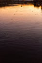 Lonely canoe kayak creating water ripples in calm sunset water canal sport rowing scenic sunset view in Plovdiv, Bulgaria