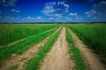 Lonely car on countryside road travel background