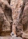 Lonely carriage in Petra gorge