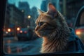 lonely Cat sit under rain on rainy street wet asphalt car traffic evening light big city houses