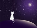 Lonely cat watching stars Royalty Free Stock Photo