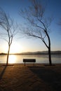 Lonely chair Royalty Free Stock Photo