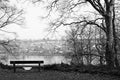 The lonely chair in winter