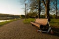 Lonely city kick scooter on a bike path route infrastructure early in the spring sunny morning. No people in the park, green grass Royalty Free Stock Photo