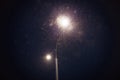 The lonely city lamp against the background of the black night sky, lights everything around itself with soft light. Royalty Free Stock Photo