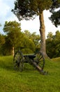 Lonely Civil War Canon, Vicksburg