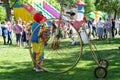 Lonely clown in colorful costume