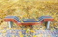 Lonely colorful wooden bench in park in the autumn Royalty Free Stock Photo