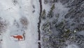 Lonely cottage or house in the middle of the snowy enchanted forest. Old cozy cabin in a forest covered with snow, viewed from Royalty Free Stock Photo