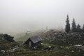 A lonely cottage in the misty and foggy forest just after the storm. Photograph was taken at Corvara in Dolomites mountain range, Royalty Free Stock Photo