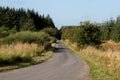 Lonely Country Lane on a Summer Morning Royalty Free Stock Photo