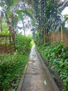 lonely country road after rain