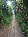 lonely country road after rain