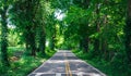 Lonely Country Road in Summer with Tree Canopy