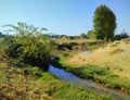 Lonely creek in the steppe of Uzbekistan