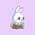 Lonely cute bunny without friends