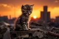 Lonely cute kitten exploring the eerie streets of a dark and abandoned city at night Royalty Free Stock Photo