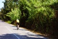 Lonely cyclist on the hot asphalt rides a bike along the road alone surrounded by trees and forest nature Royalty Free Stock Photo