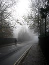 Lonely cyclist on a misty day