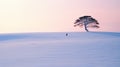 Lonely Cypress On Snowy Hill: Oriental Minimalism In Scottish Landscapes