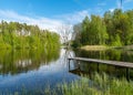 A lonely dead oak in a flooded lake, a wooden footbridge in the lake