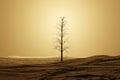 A lonely dead tree in a desert. 3d render