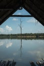 Lonely dead tree in water framed by hut Royalty Free Stock Photo