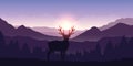 Lonely deer in the mountains at sunrise with forest background