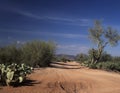 A lonely desert back road Royalty Free Stock Photo