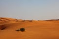 Lonely Desert Dunes Royalty Free Stock Photo