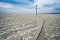 Salton Sea California - old remnants on the beach Royalty Free Stock Photo