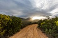 Lonely dirt road leading into a mountain range at sunset Royalty Free Stock Photo