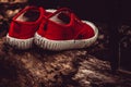 Lonely dirty children`s shoes Royalty Free Stock Photo