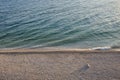 Lonely dog on a beach Royalty Free Stock Photo