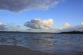 A lonely dog in an empty beach in Australia Royalty Free Stock Photo