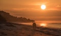 Lonely dog on empty beach in golden sunrise. Royalty Free Stock Photo