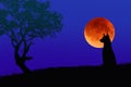 Lonely dog with red moon in the field Royalty Free Stock Photo