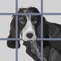 Lonely dog with sad eyes behind bars