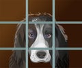 Lonely dog with sad eyes behind bars